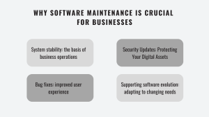 Why software maintenance is crutial for a business: System stability, Security Updates, Bug fixes, Supporting software evolution: adapting to changing needs.