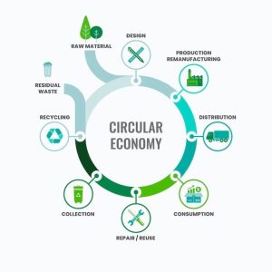 Circular Economy and Resource Management, Technology in Sustainability, Sustainability