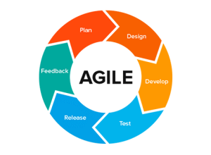 Understanding Agile Development, Agile Development, Agile methodologies, software development life cycle, development teams, software development, development cycles, Scrum and Kanban, Agile project management, Agile environment