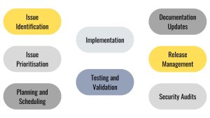 Software Maintenance process, Issue Identification, Issue Prioritisation, Planning and Scheduling, Implementation, Testing and Validation, Documentation Updates, Release Management, Security Audits