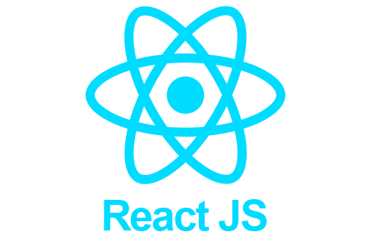 ReactJS, React, custom software development, custom software, software development, web development