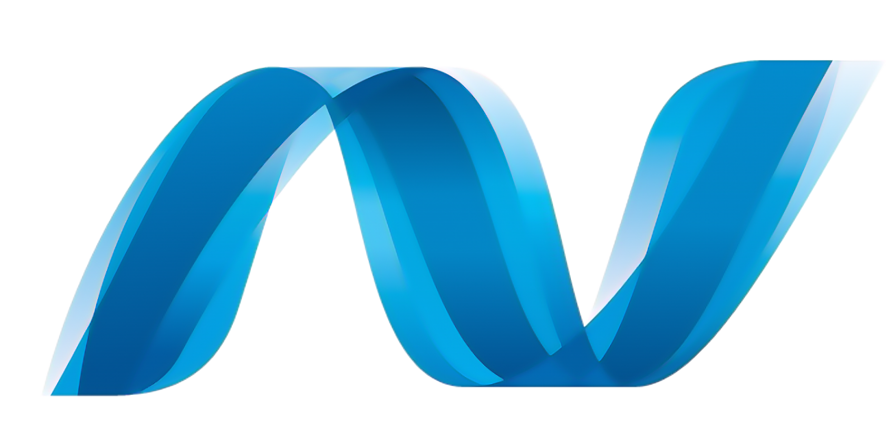 .NET, custom software development, custom software, software development, web development, Microsoft .NET Framework