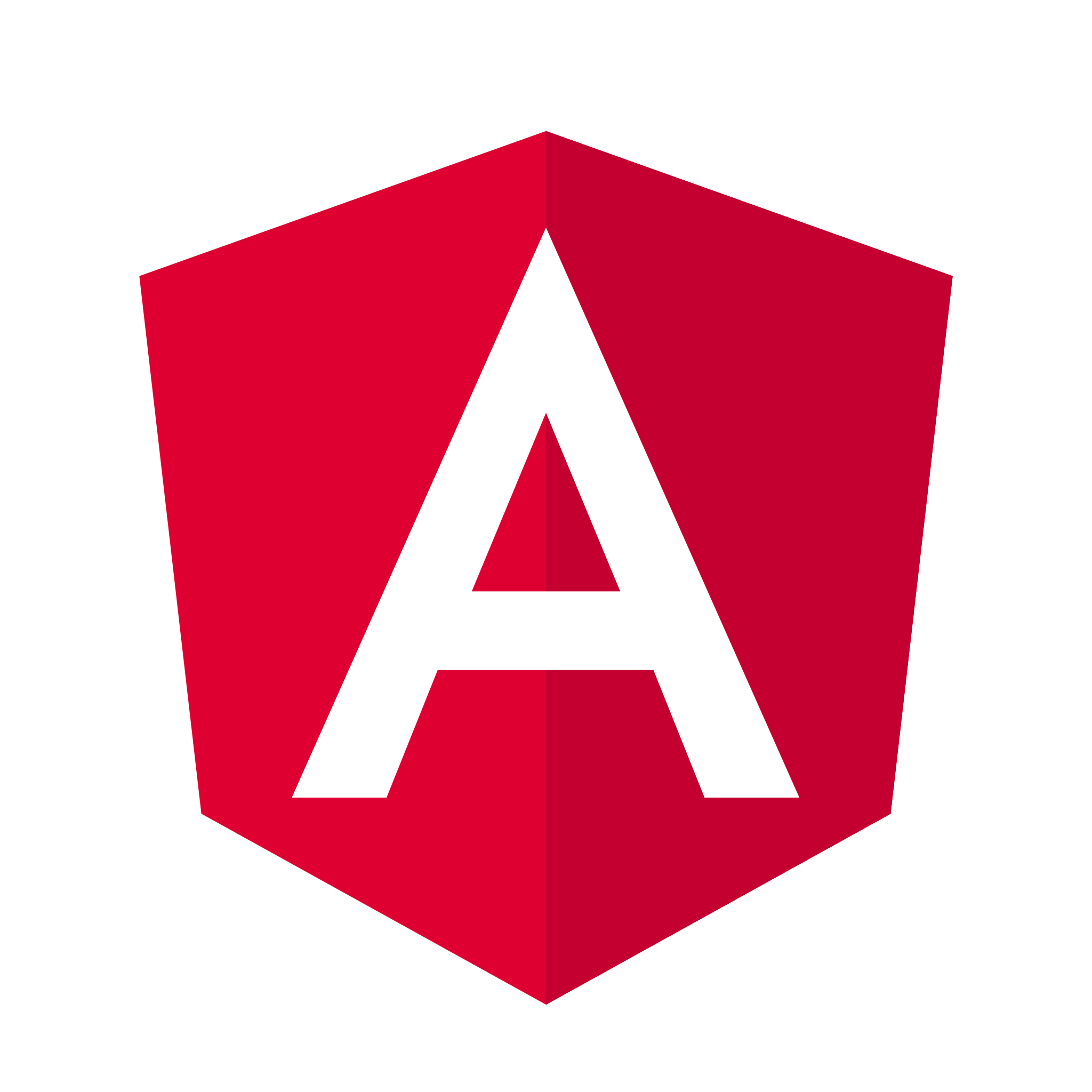 Angular, custom software development, custom software, software development, web development