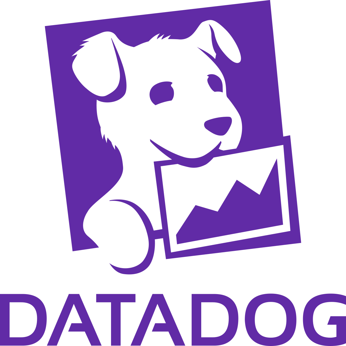 Datadog, Monitoring Tools, Dedicated Support & Maintenance