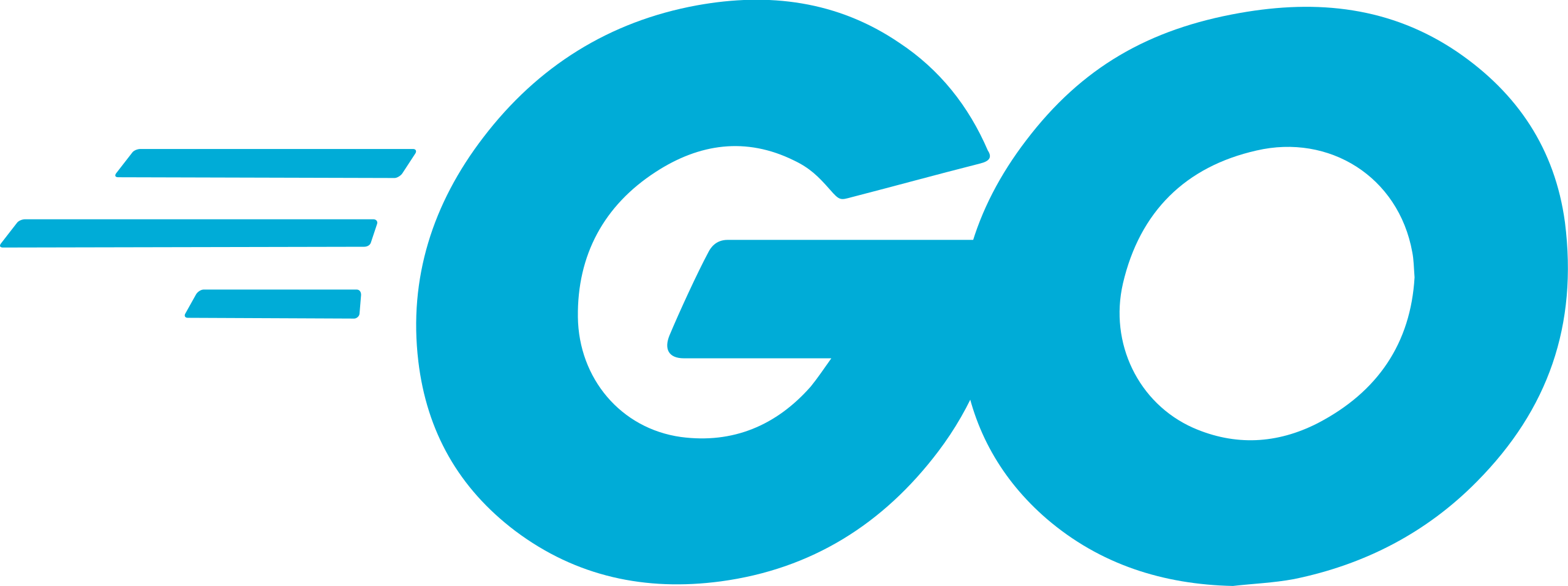 Golang, custom software development, custom software, software development, web development