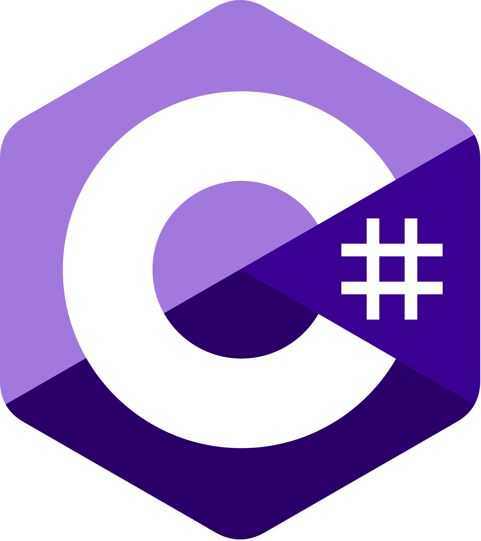 C#, custom software development, software development, custom software, web development