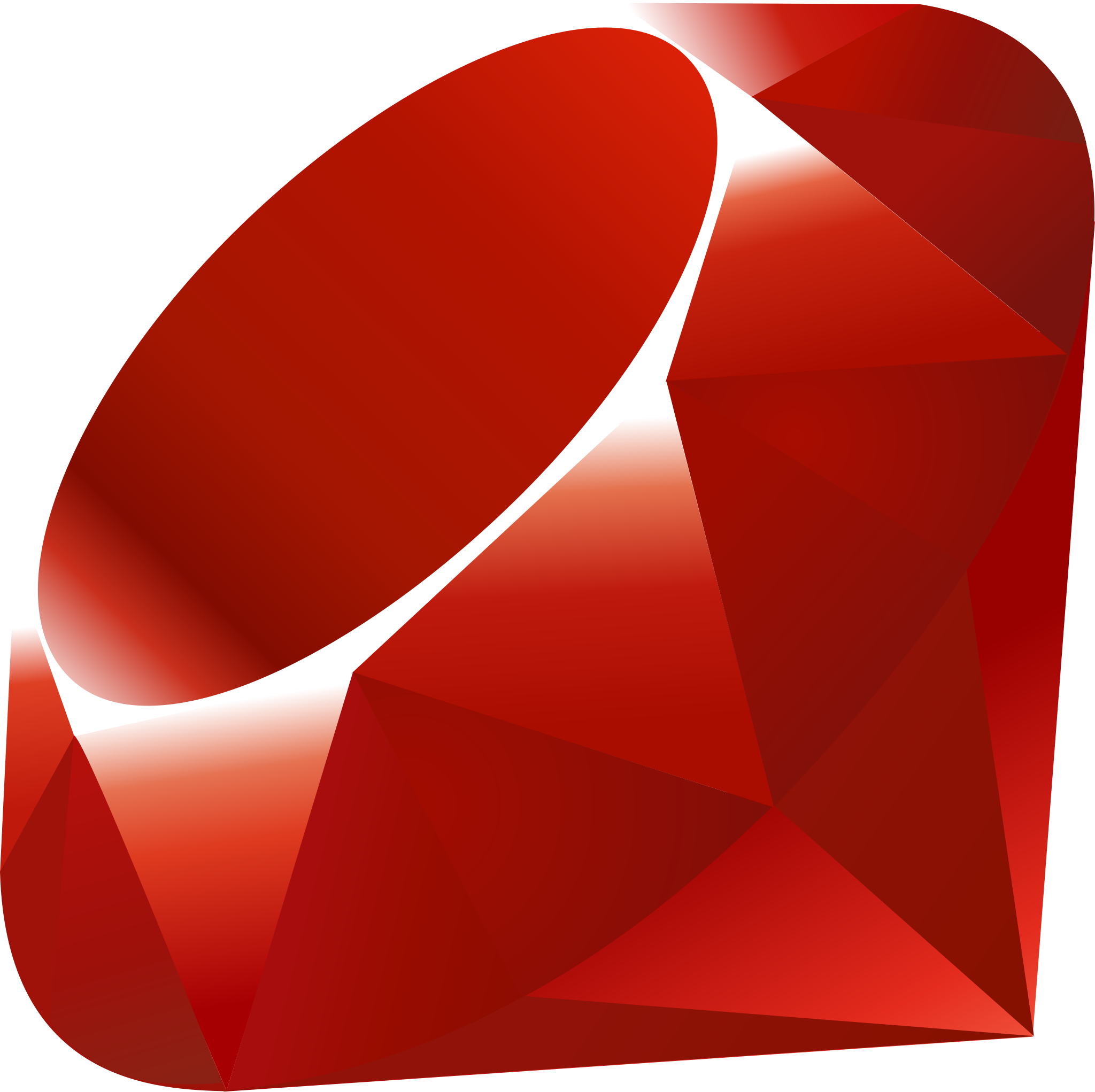 Ruby, custom software development, software development, custom software, web development
