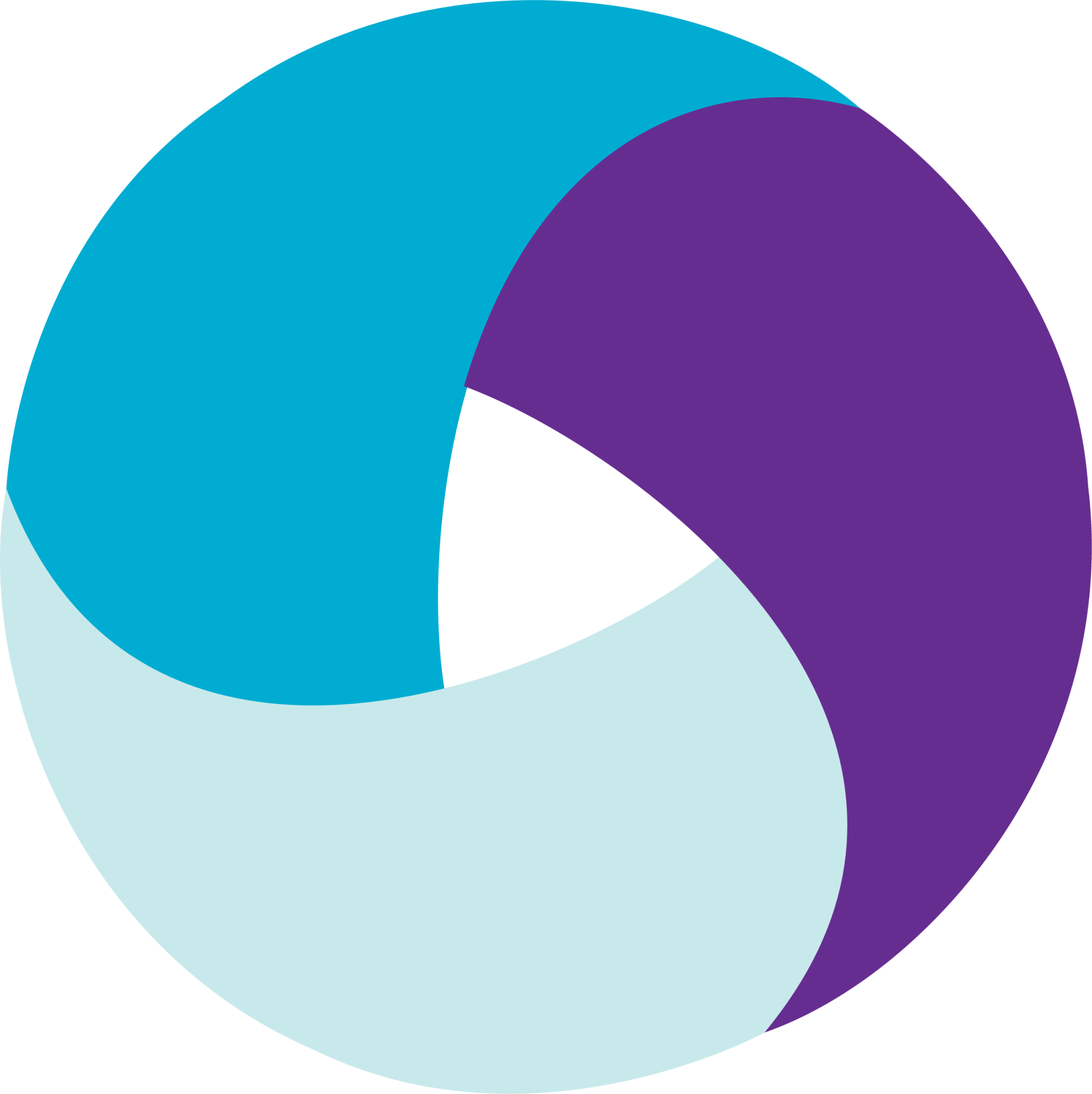 Appium, Testing Tools, mobile app development, software development
