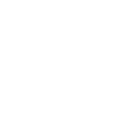 NextJS, custom software development, custom software, software development, web development
