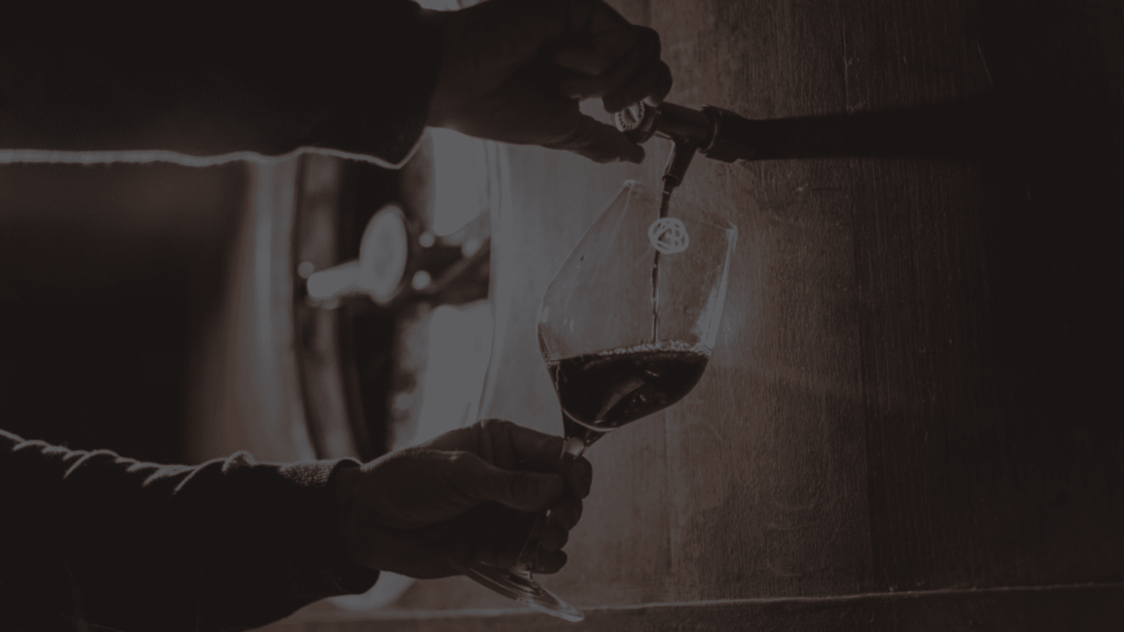 e-commerce automation, web development, wine shop, wine market