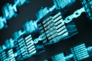 E-commerce Market Landscape, Growth of Cross-Border E-Commerce, Emphasis on Sustainability, Integration of Blockchain Technology