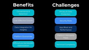 Super apps, Benefits and Challenges, Convenience & Retention, Cost-Effective Growth, Data Integration for Insights, Platform Economies, Privacy & Data Protection, Security Risks, Technical Complexity